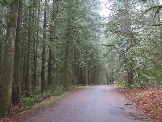 silverlakepark whatcom - 97