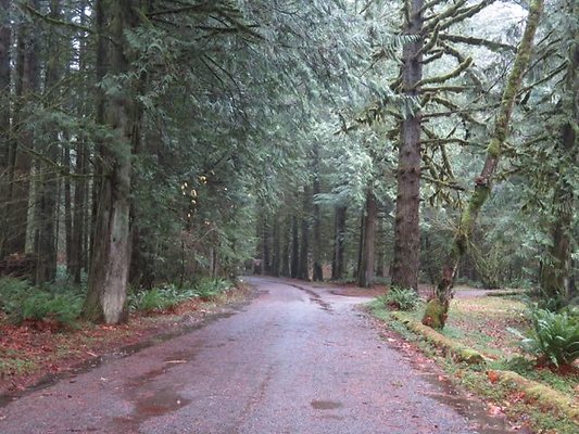 silverlakepark whatcom - 6