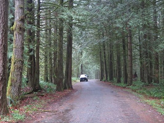 silverlakepark whatcom - 47