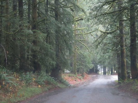 silverlakepark whatcom - 18