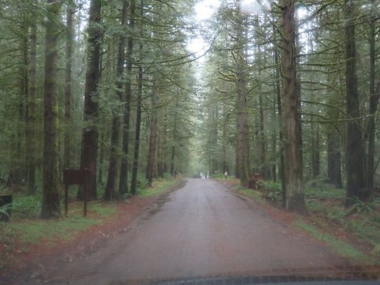 silverlakepark whatcom - 17