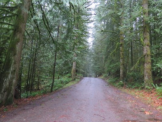 silverlakepark whatcom - 40