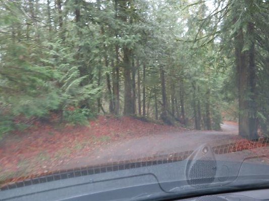 silverlakepark whatcom - 58