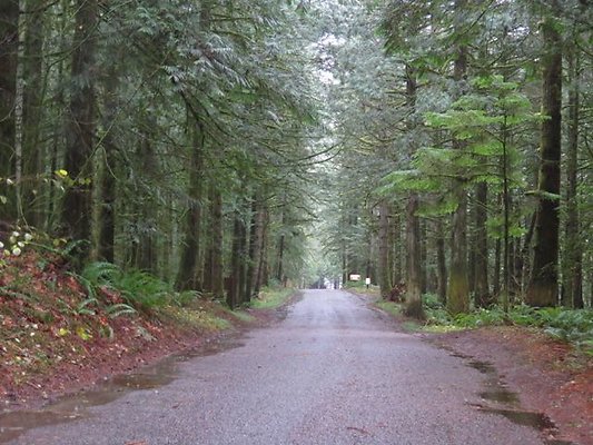 silverlakepark whatcom - 13