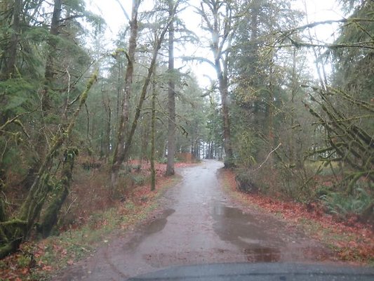 silverlakepark whatcom - 62