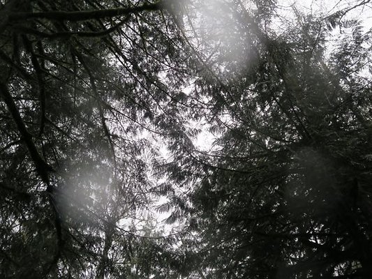 silverlakepark whatcom - 90