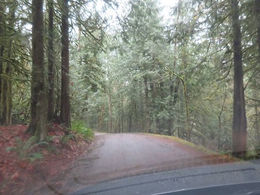 silverlakepark whatcom - 53