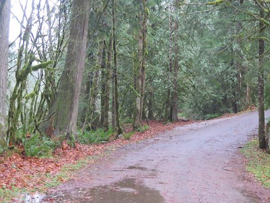 silverlakepark whatcom - 79