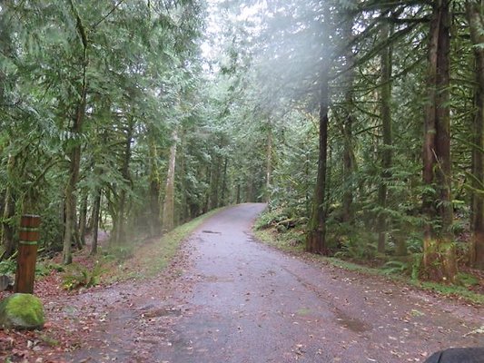 silverlakepark whatcom - 88