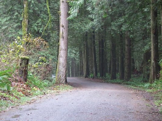 silverlakepark whatcom - 45