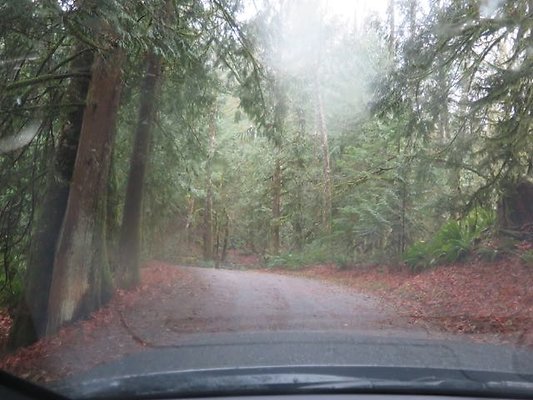 silverlakepark whatcom - 84