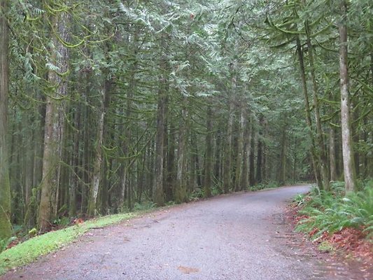 silverlakepark whatcom - 93