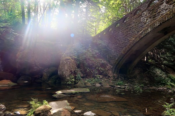 whatcomfalls2023 - 25