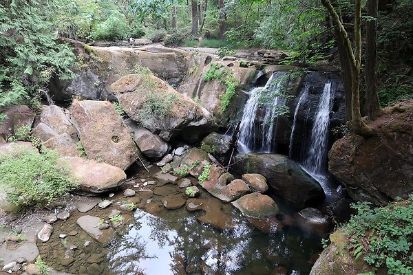 whatcomfalls2023 - 10