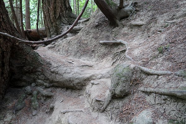 whatcomfalls2023 - 56