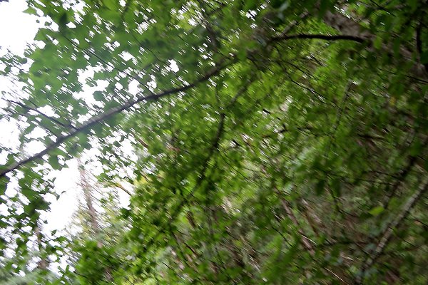 whatcomfalls2023 - 79