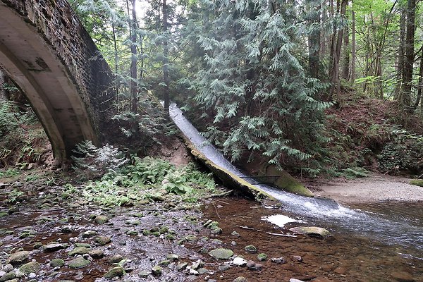 whatcomfalls2023 - 33