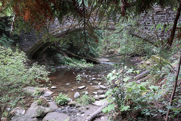 whatcomfalls2023 - 22