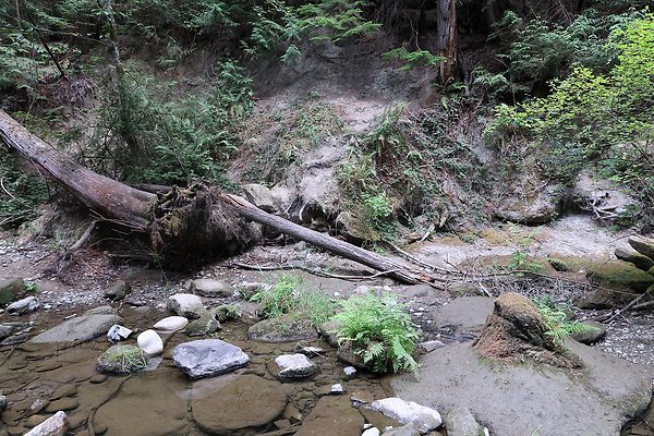 whatcomfalls2023 - 41