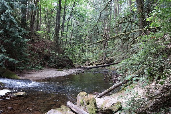 whatcomfalls2023 - 34