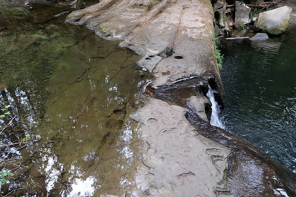 whatcomfalls2023 - 83