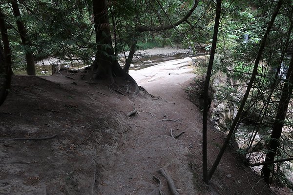 whatcomfalls2023 - 60