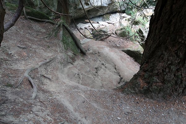 whatcomfalls2023 - 58