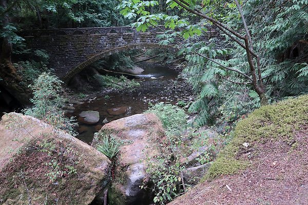 whatcomfalls2023 - 66