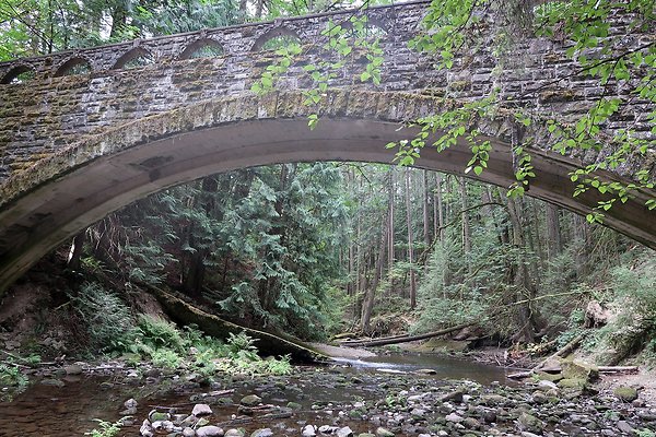 whatcomfalls2023 - 26