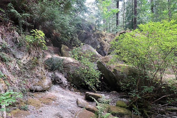 whatcomfalls2023 - 23