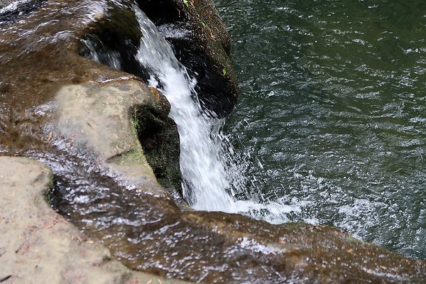 whatcomfalls2023 - 82