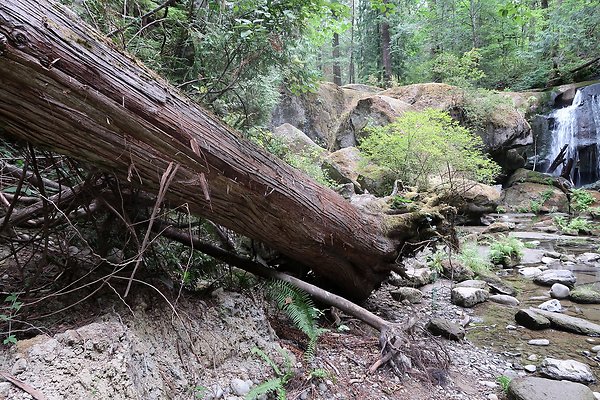 whatcomfalls2023 - 29