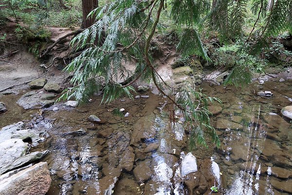 whatcomfalls2023 - 72