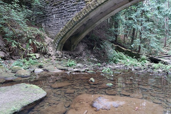 whatcomfalls2023 - 50