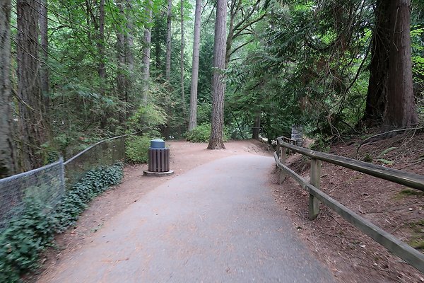 whatcomfalls2023 - 4