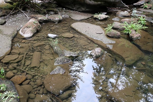 whatcomfalls2023 - 47