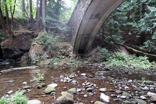 whatcomfalls2023 - 31