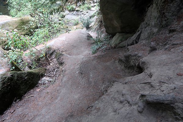 whatcomfalls2023 - 54