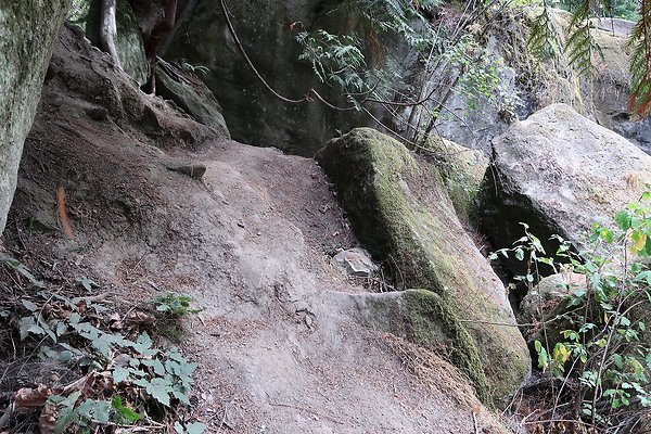 whatcomfalls2023 - 19