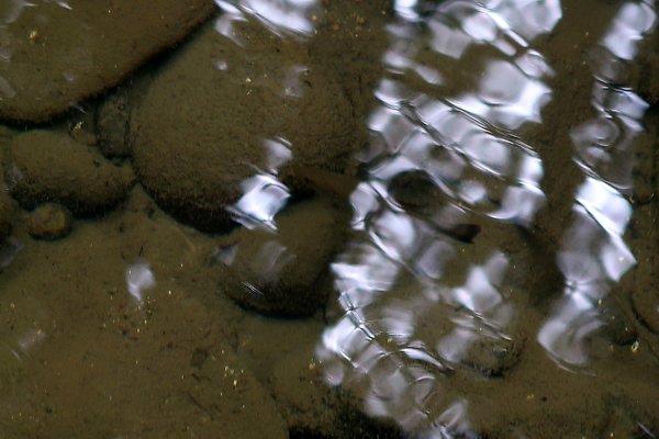 whatcomfalls2023 - 39