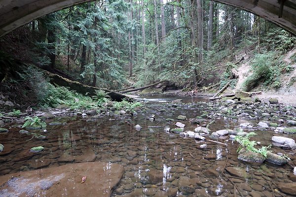 whatcomfalls2023 - 51