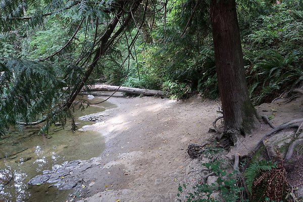 whatcomfalls2023 - 74