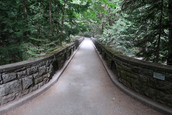 whatcomfalls2023 - 8