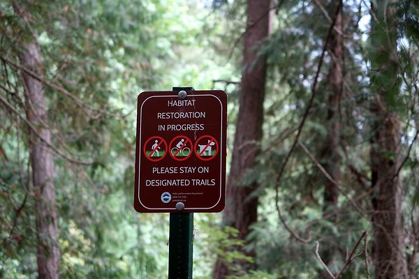 whatcomfalls2023 - 84