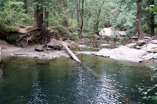 whatcomfalls2023 - 81