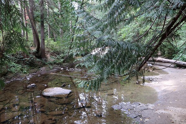 whatcomfalls2023 - 73