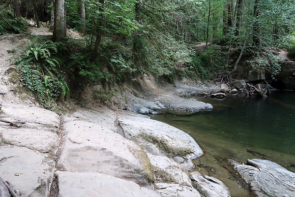 whatcomfalls2023 - 69