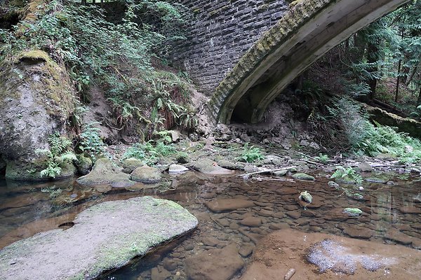 whatcomfalls2023 - 45