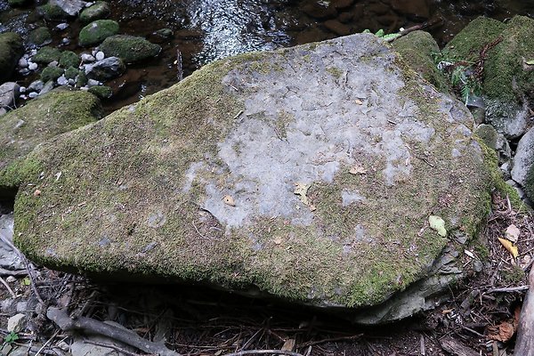 whatcomfalls2023 - 36