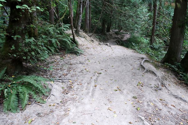 whatcomfalls2023 - 77